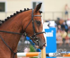 Falsterbo Horse Show