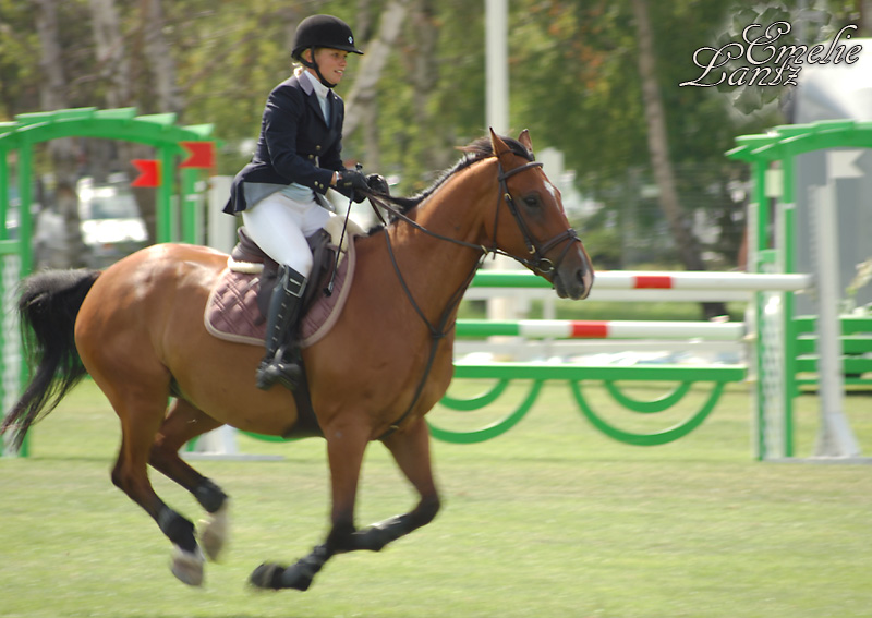 Falsterbo Horse Show