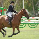 Falsterbo Horse Show