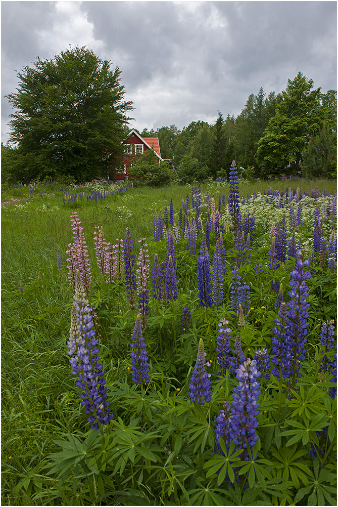 Falun röd...