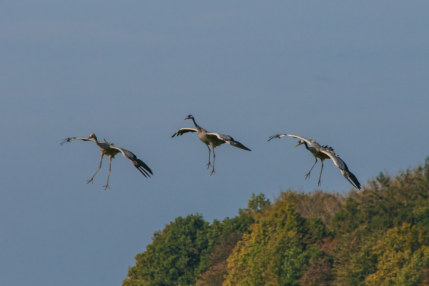 Famielenausflug