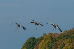 Famielenausflug