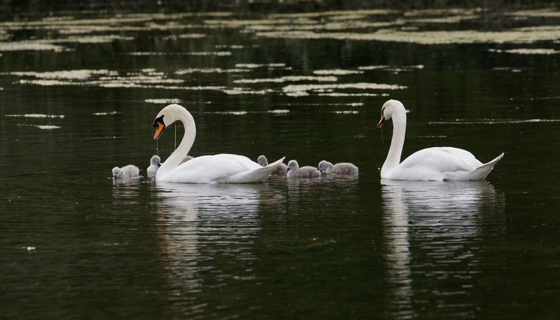 Familenausflug 2