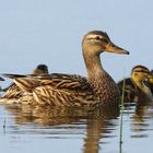 Familenausflug