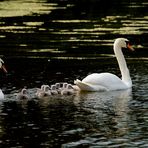 Familenausflug.