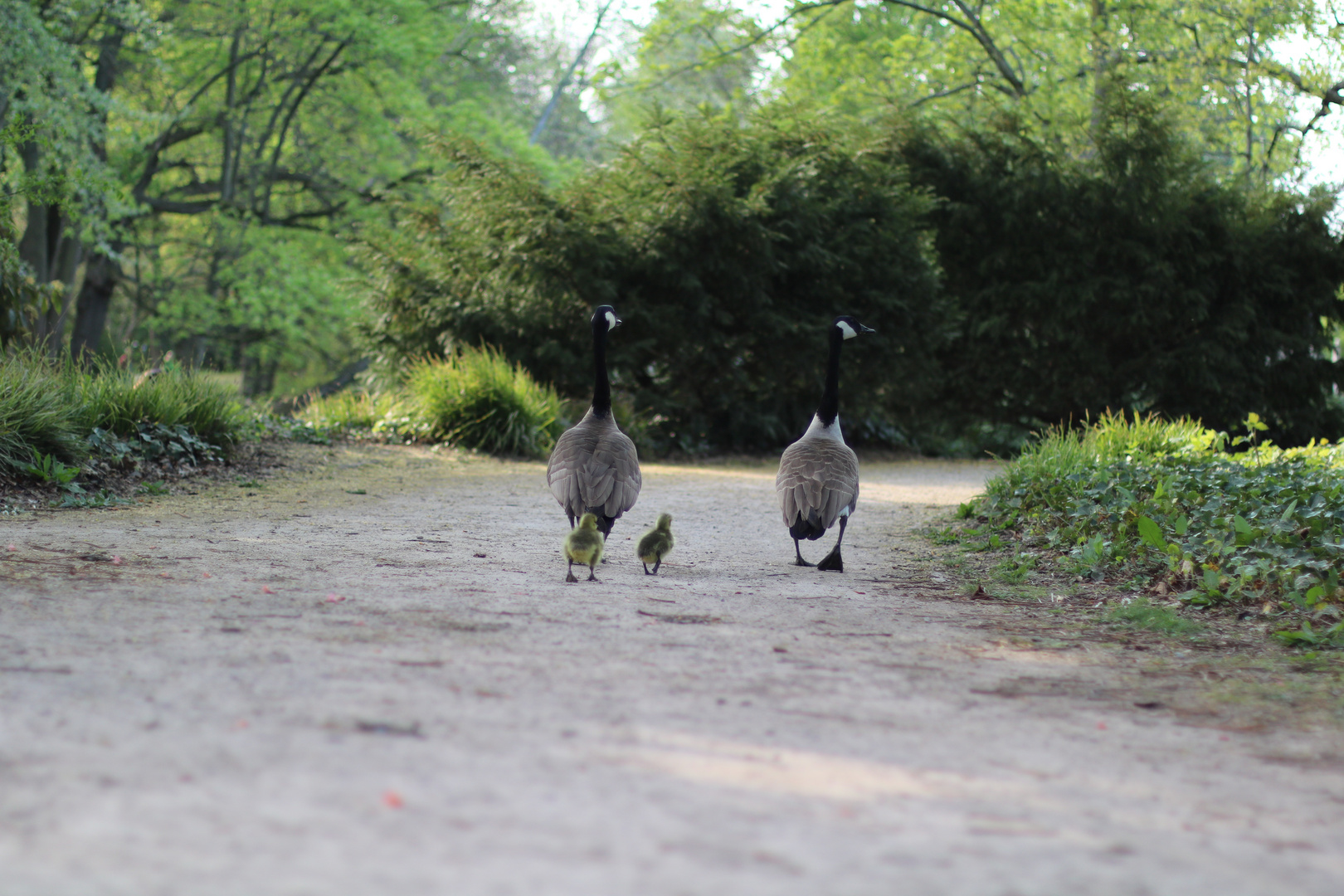 Familie