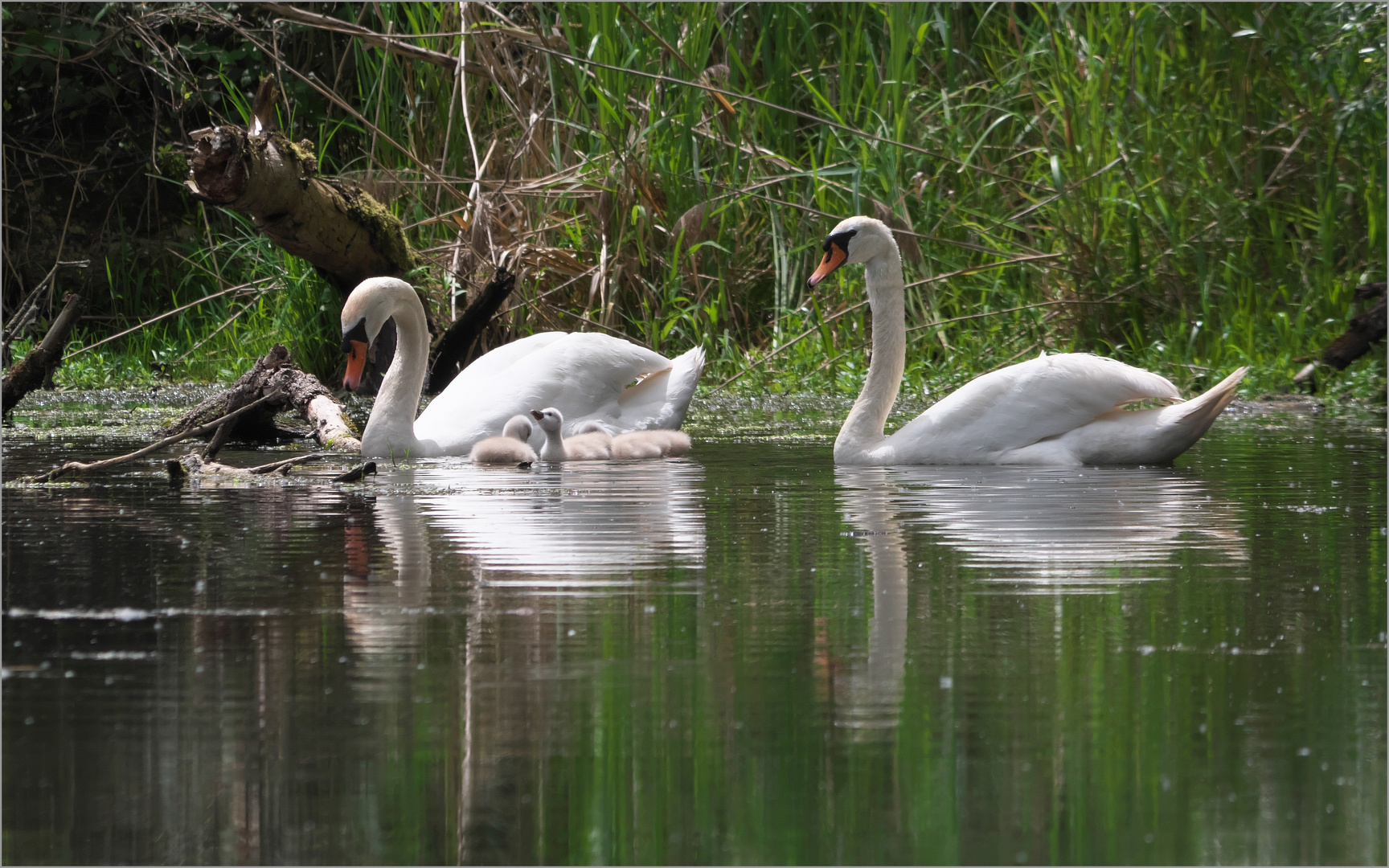 Familie