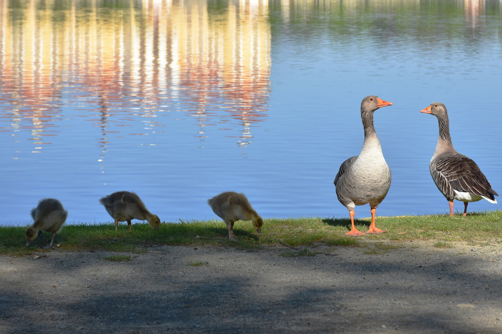 Familie