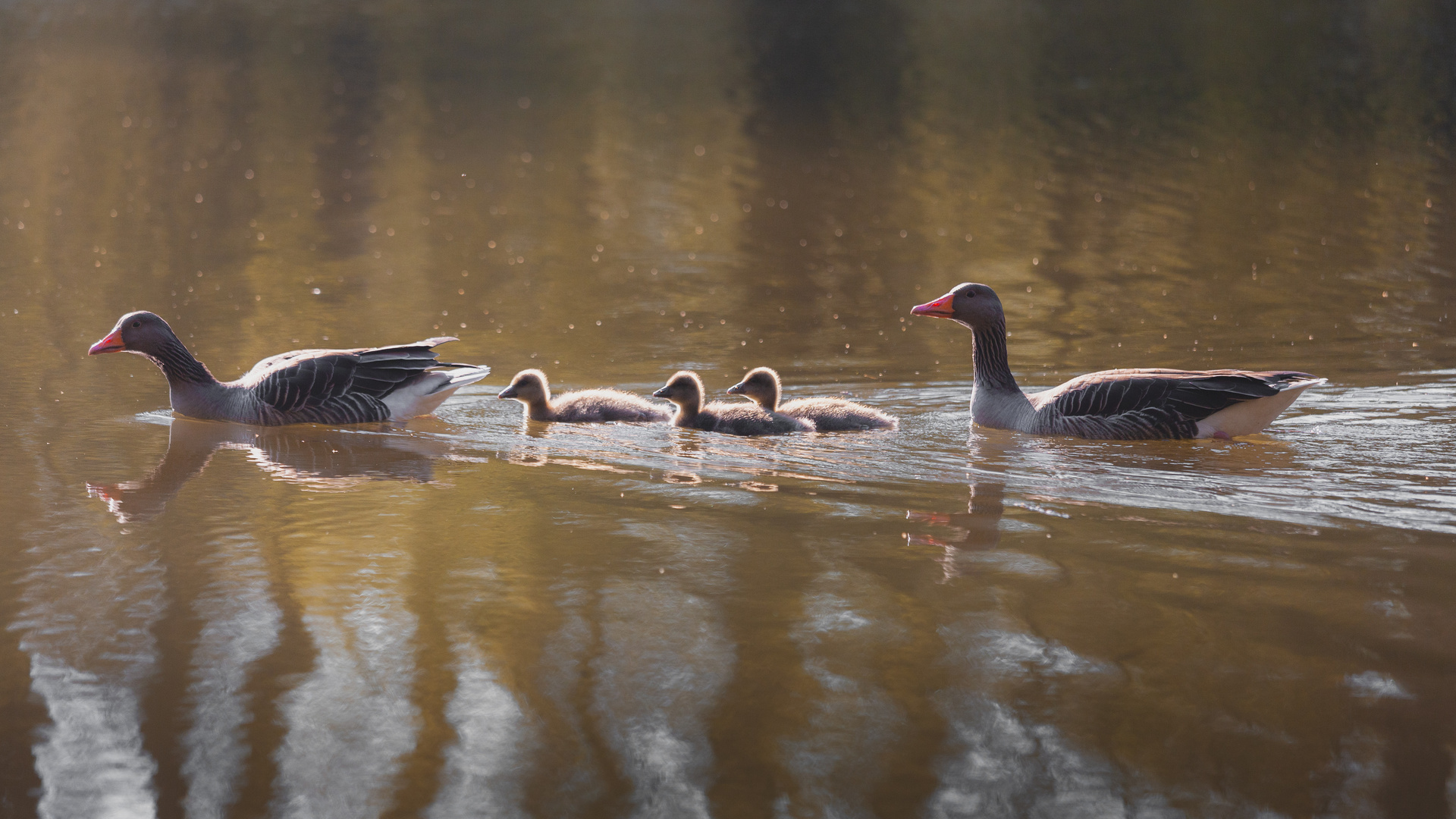 Familie