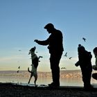 familie am see