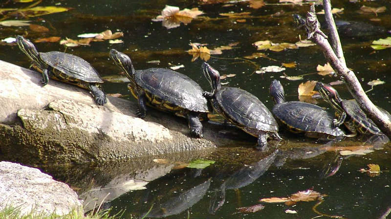 Familie auf Sonntagsausflug