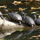 Familie auf Sonntagsausflug