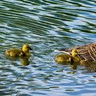 Familie auf Tour 