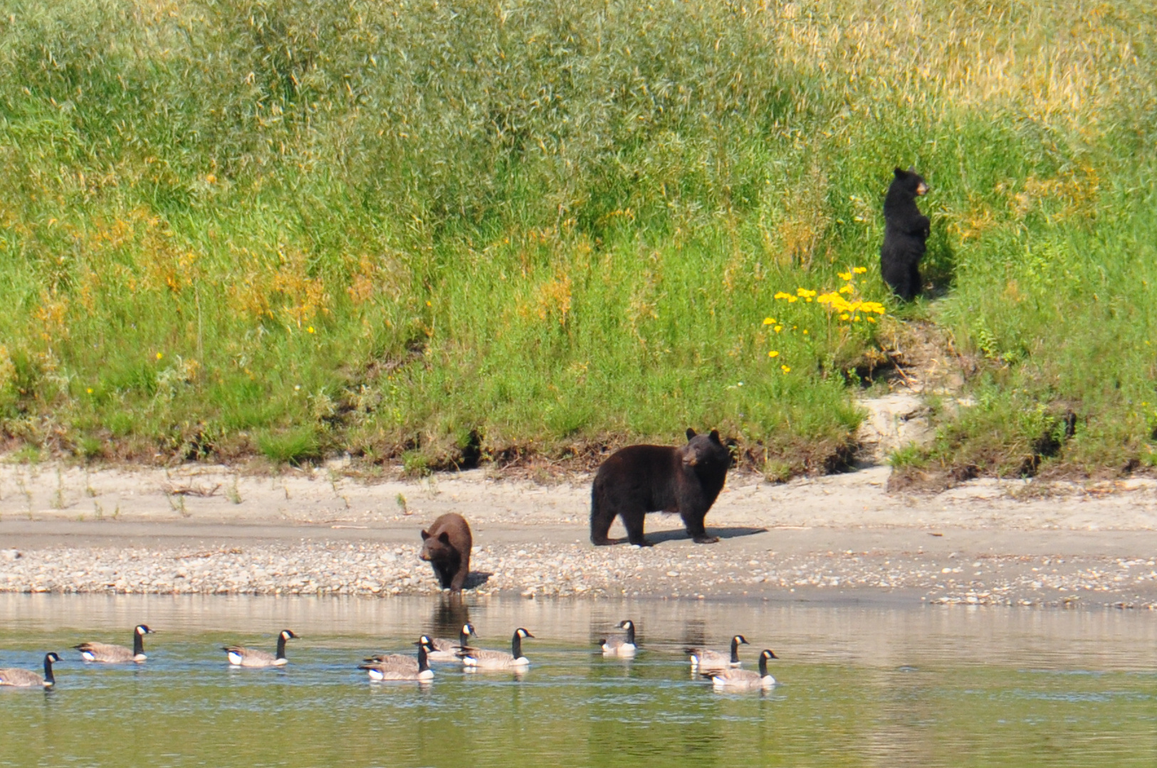 Familie Bär beim Ausflug