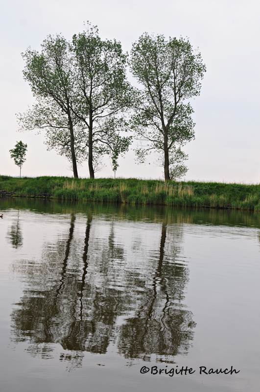 Familie Baum