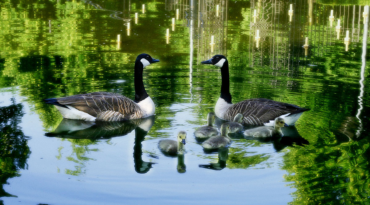 Familie