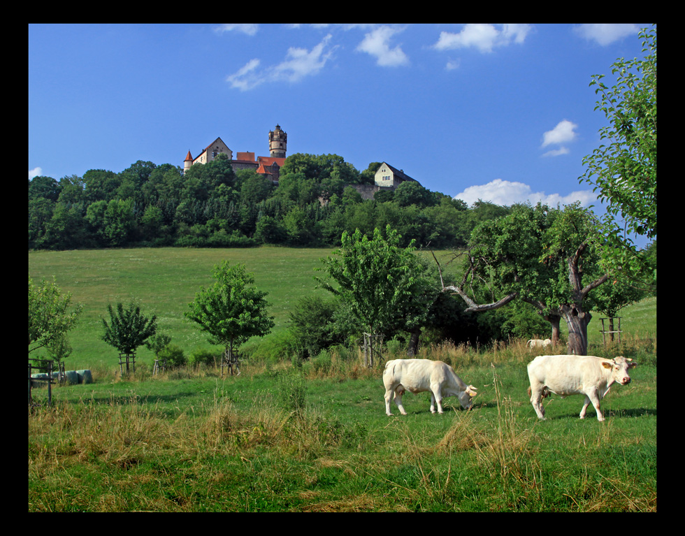 Familie Charolais