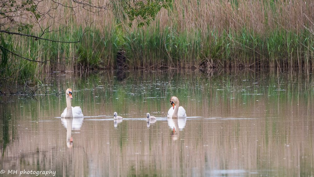 Familie