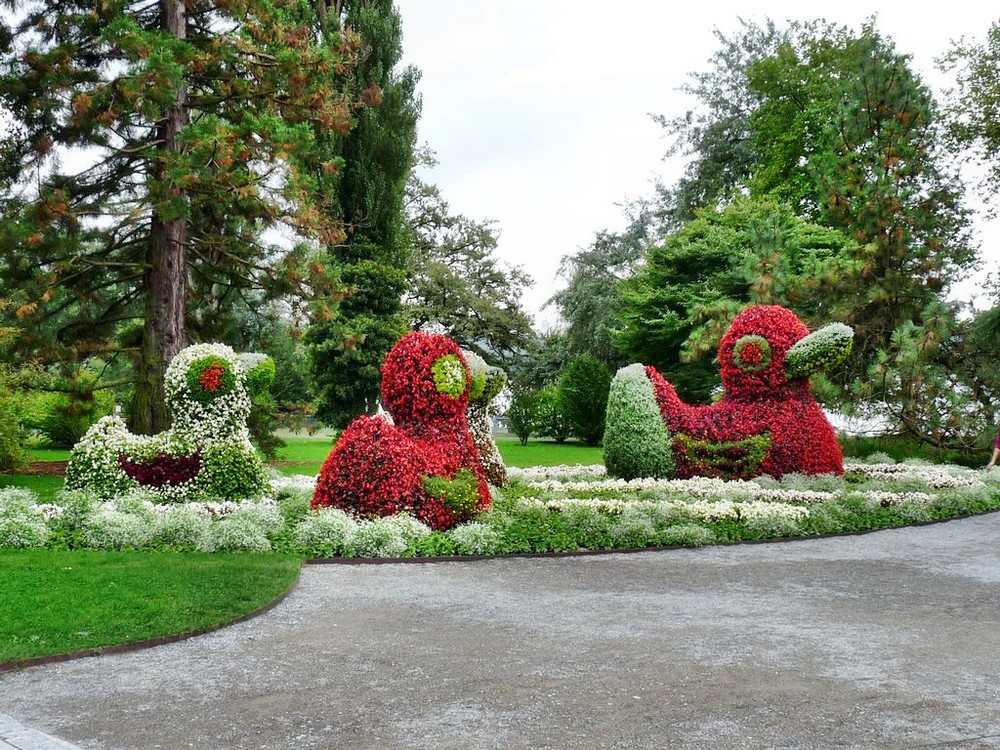 ...Familie Duck auf der Insel Mainau