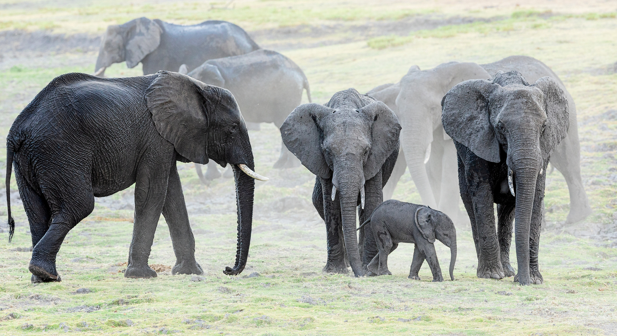 Familie