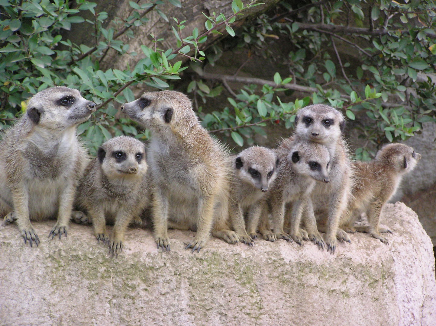 Familie Erdmann