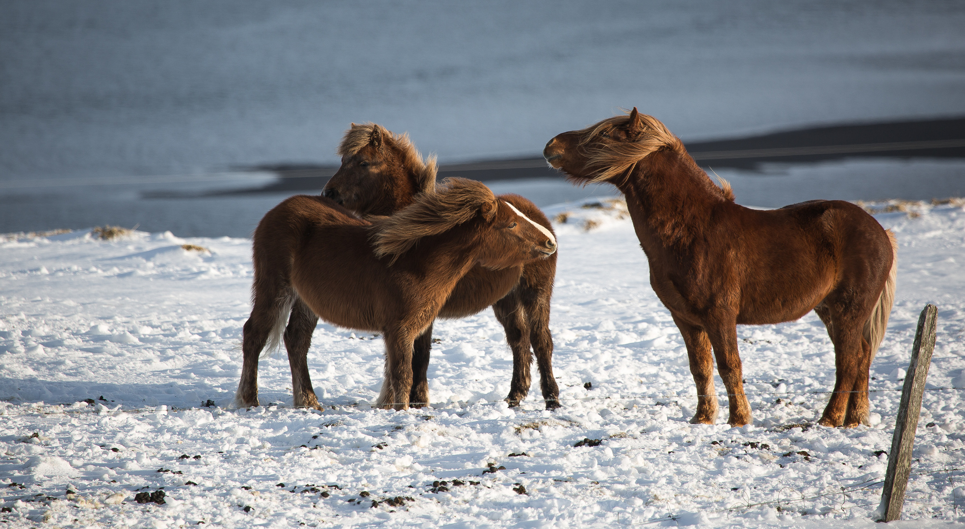 Familie