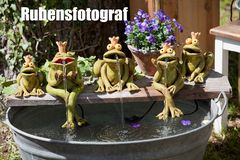 Familie Frosch