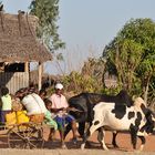 Familie geht auf Reise in Nord Madagaskar