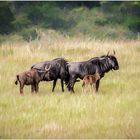 Familie Gnu