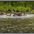 Familie "Grau" beim Ausflug