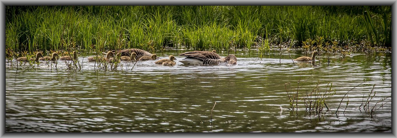 Familie "Grau" beim Ausflug