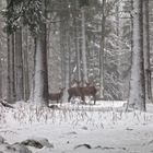 Familie im Schnee