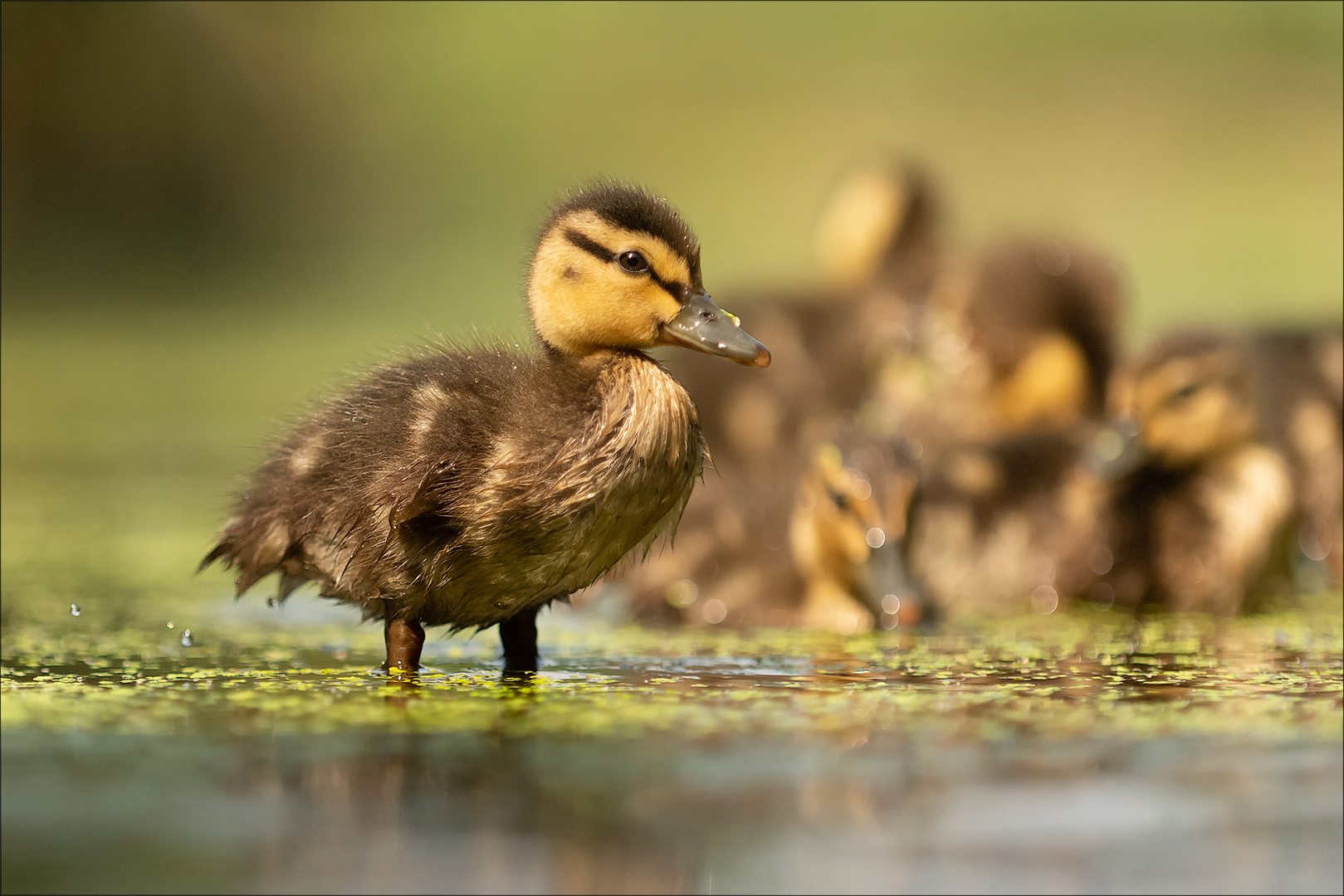 Familie ist echt anstrengend!