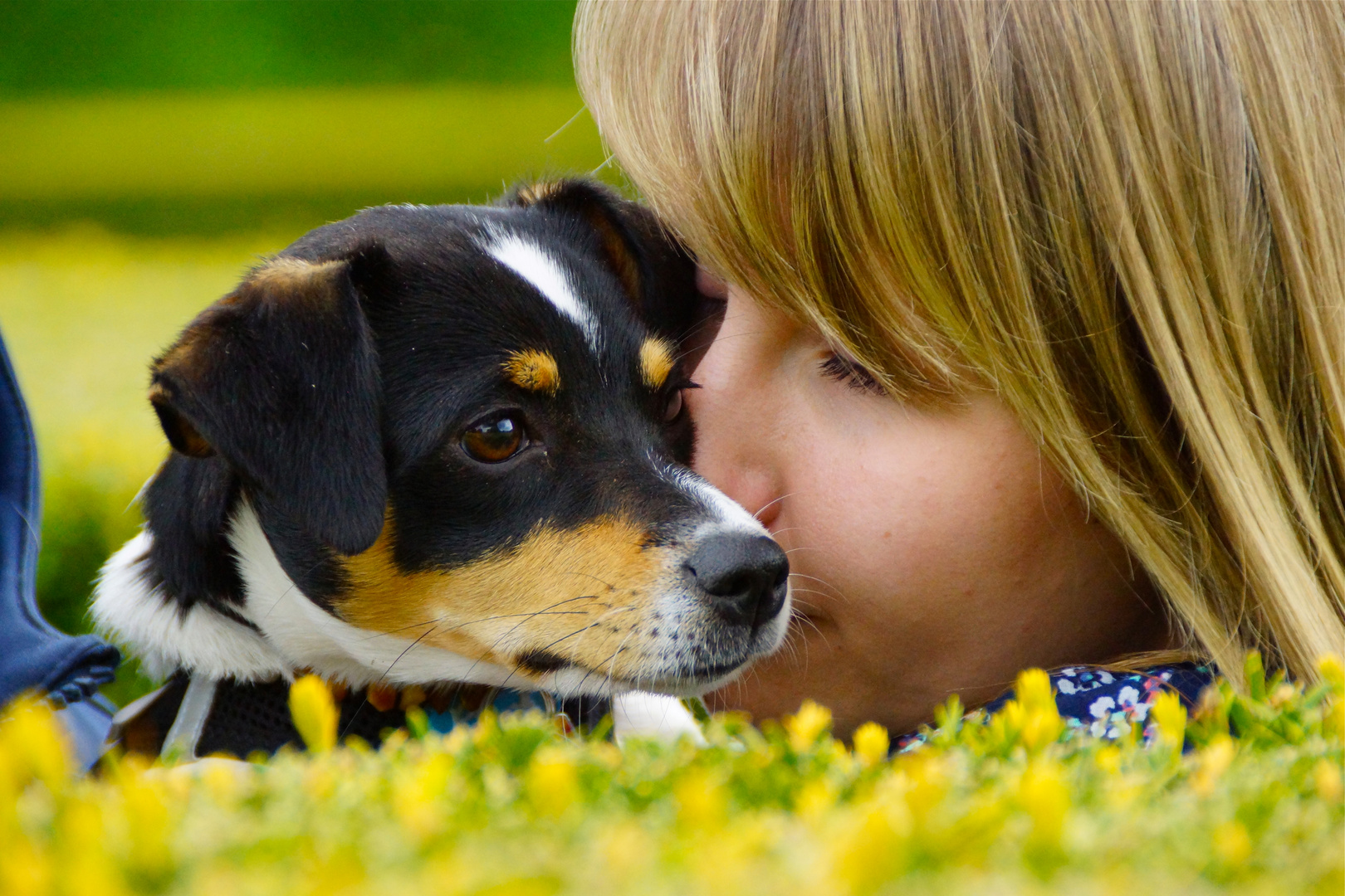 Familie, Liebe und Zuneigung