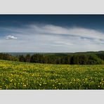 Familie Löwenzahns Reise zum Hochland