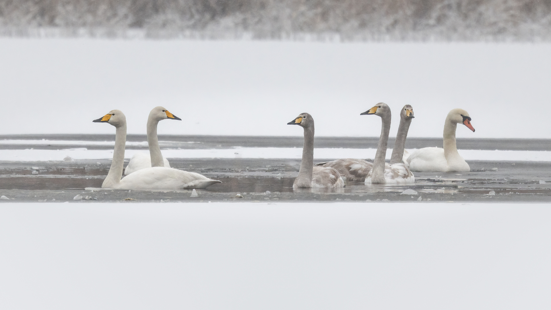 Familie mit Patenonkel