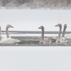 Familie mit Patenonkel