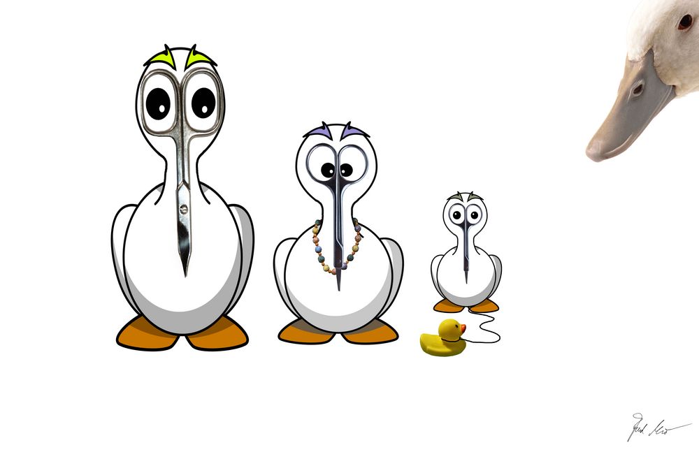 Familie Scherente / The Scissorducks