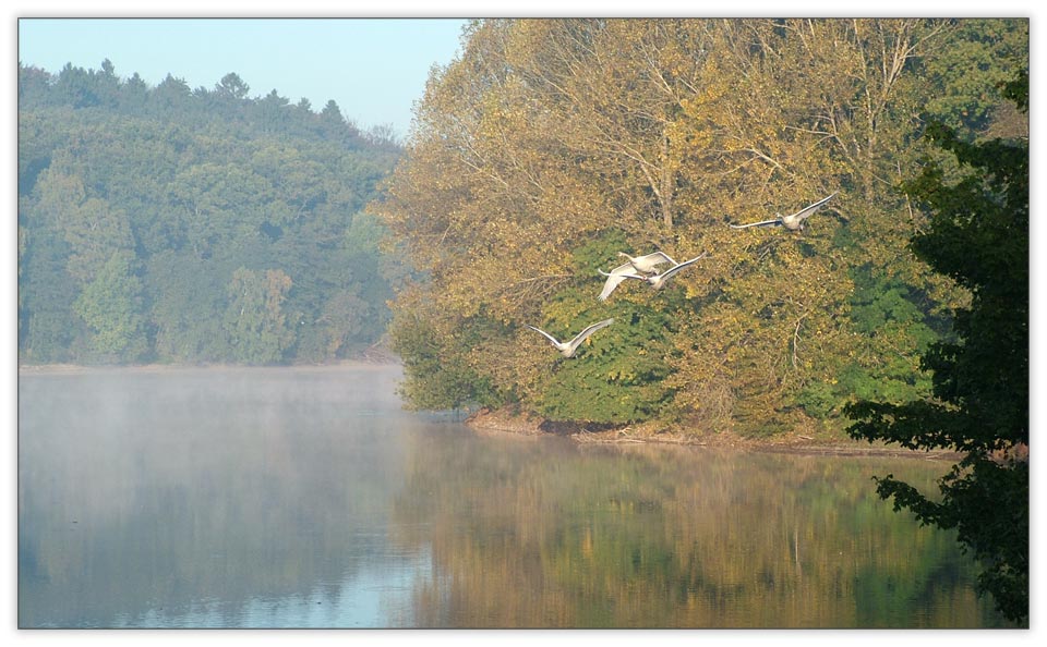 familie schwan...