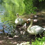 Familie Schwan 2022