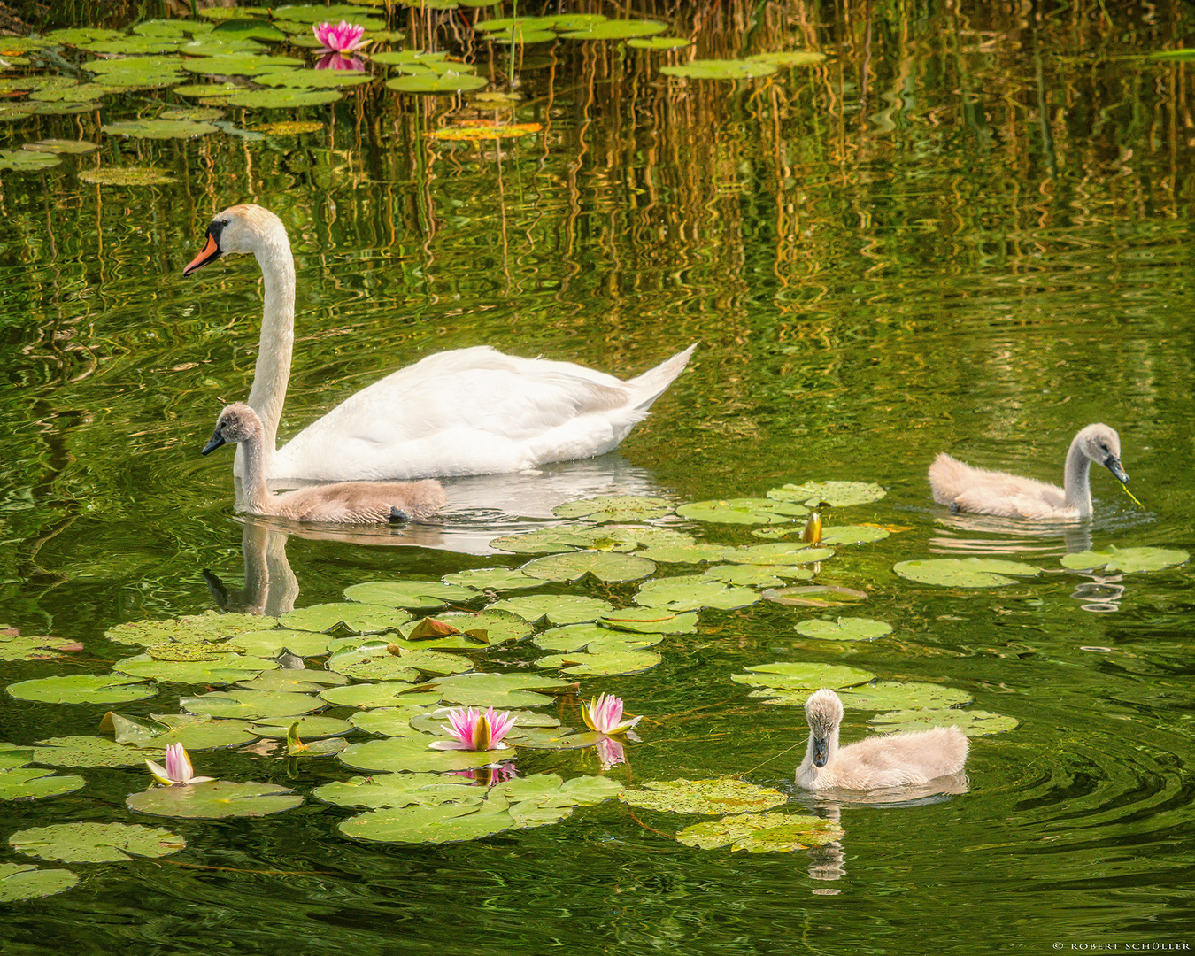 Familie Schwan besucht Claude Monet.