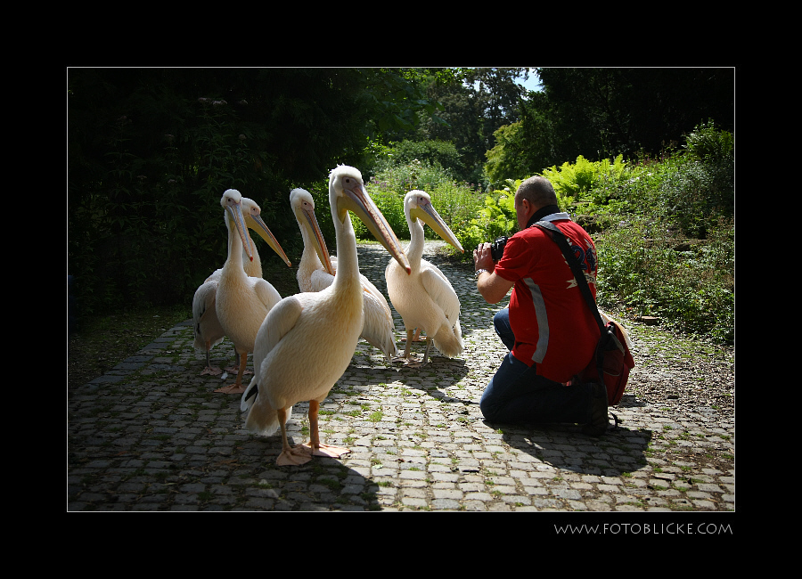 Familie Zacki