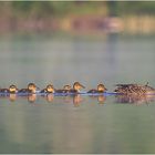 familieausflug am see....