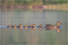 familieausflug am see....