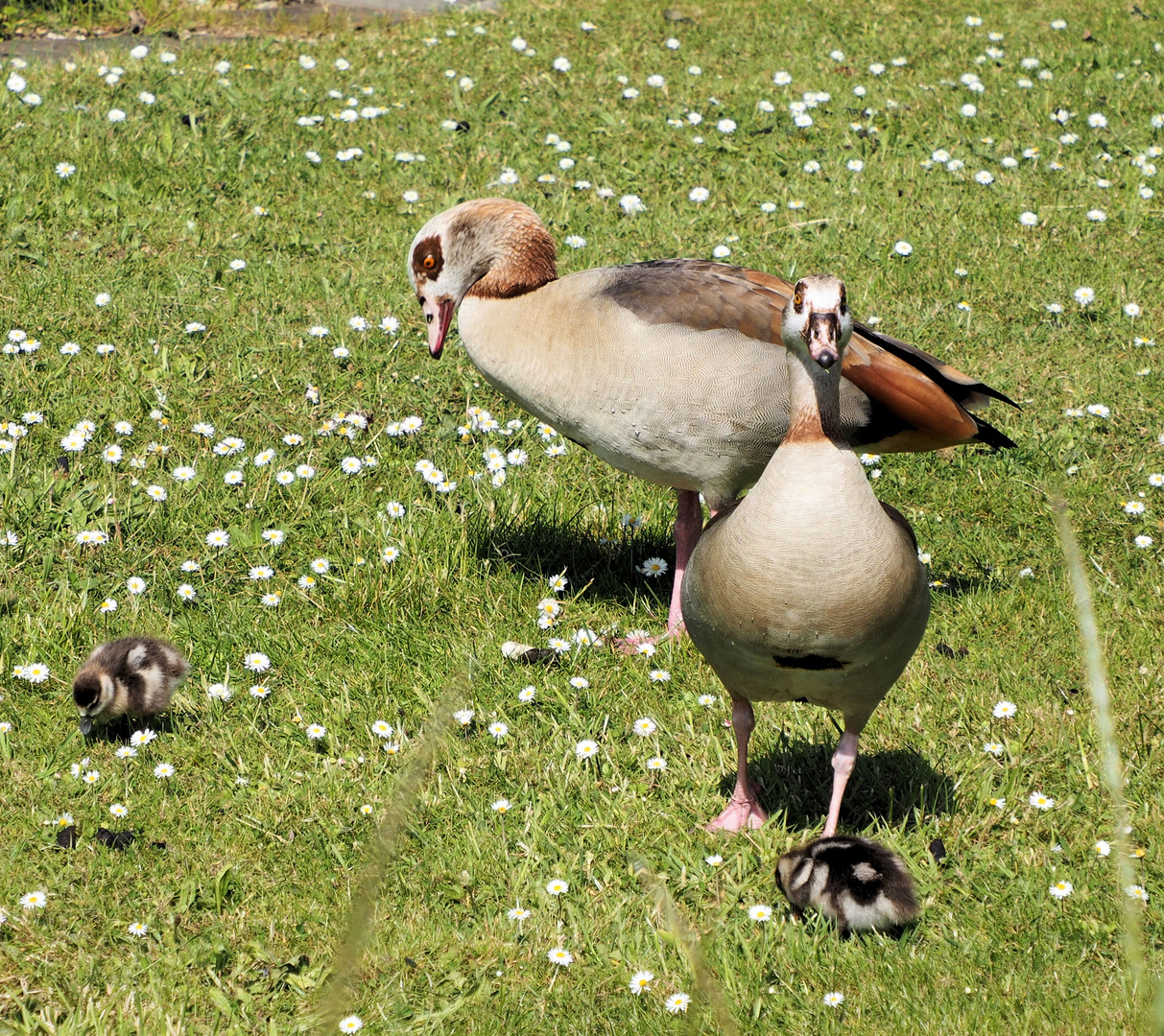 Familien Ausfflug… 