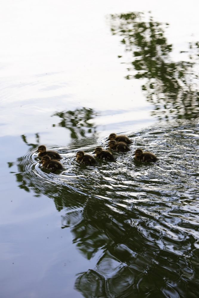 Familien Ausflug ...