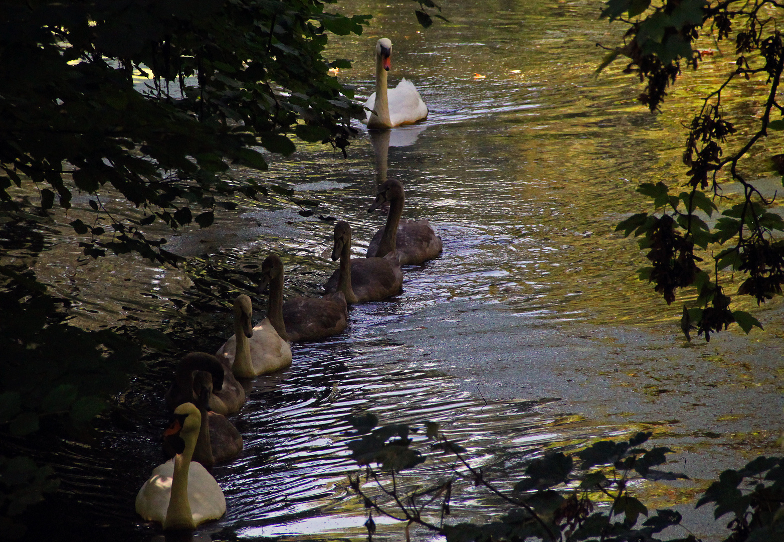 Familien Ausflug