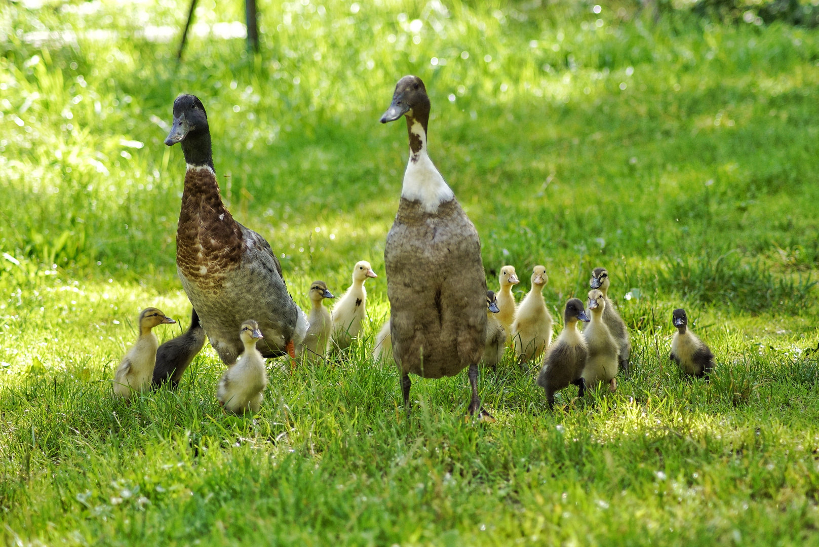 Familien Ausflug 