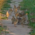 FAMILIEN AUSFLUG