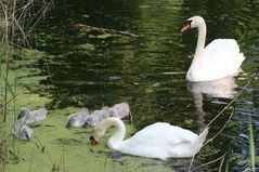 Familien Ausflug